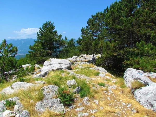 Parte Superior Colina Skavnica Región Litoral Eslovenia Con Grandes Rocas —  Fotos de Stock