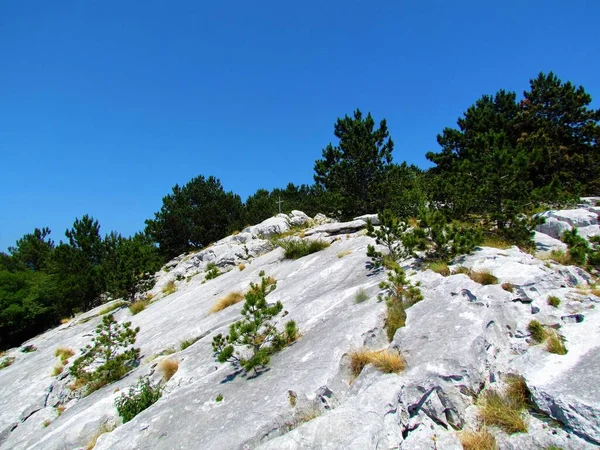 Formación Roca Caliza Karst Meseta Nanos Cima Colina Skavnica Eslovenia —  Fotos de Stock