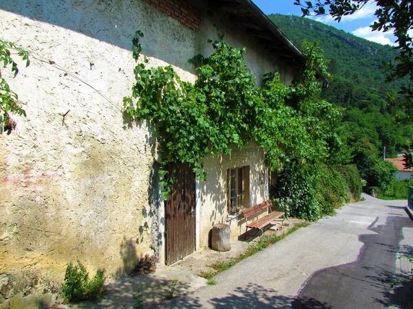 Altes Haus Vipava Stadt Littoral Region Von Slowenien Mit Weinreben — Stockfoto