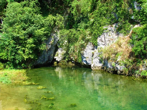 One Springs Vipava River Littoral Region Slovenia Water Coming Rocks — Stock Photo, Image