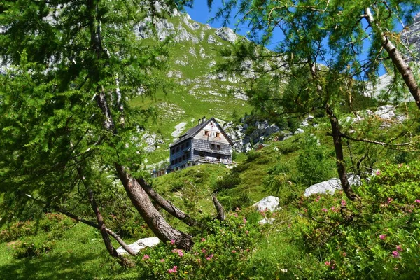 Baita Montagna Vodnikov Dom Nelle Alpi Giulie Nel Parco Nazionale — Foto Stock