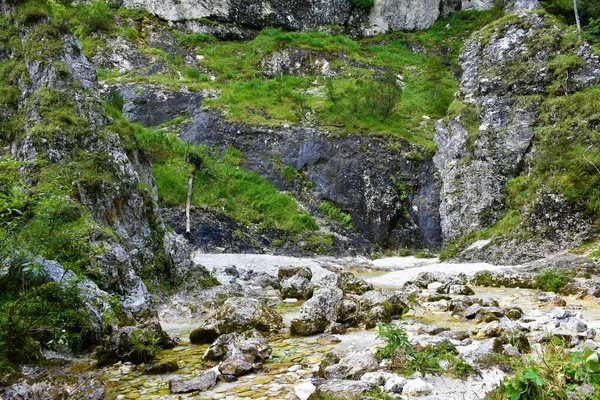 Arroyo Agua Cascada Zapotoski Valle Zadnja Trenta Eslovenia — Foto de Stock