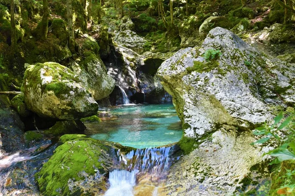 Sunik Water Grove Lepena Valley Slovenia — Stock Photo, Image