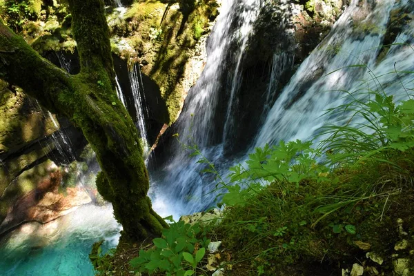 斯洛文尼亚Julian Alps和Triglav国家公园Lepena Sunik水上公园的瀑布 — 图库照片