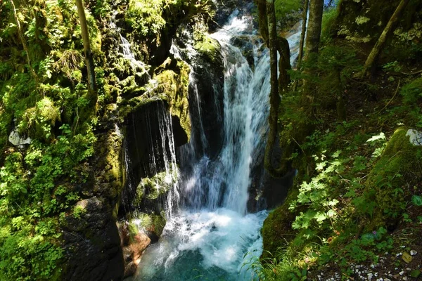 Vodopád Vodního Háje Sunik Lepeně Juliánských Alpách Triglavském Národním Parku — Stock fotografie