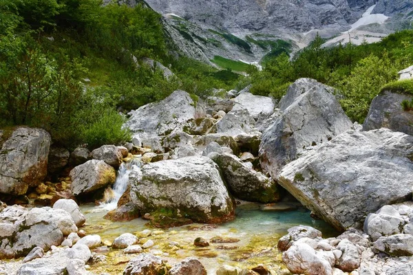 Triglavska Bistrica Arroyo Valle Vrata Los Alpes Julianos Parque Nacional — Foto de Stock