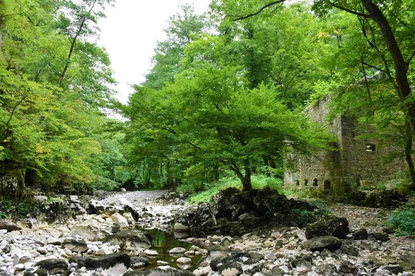 Flussbett Des Flusses Reka Bei Niedrigem Wasserdurchfluss Mit Weißen Felsen — Stockfoto