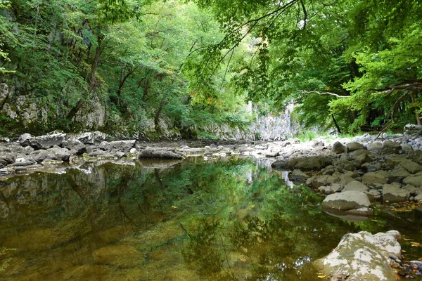 Reka Folyó Alacsony Vízáramlás Tükrözik Fák Víz Karszt Régió Szlovénia — Stock Fotó