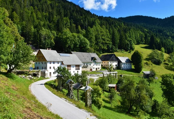 Village Zgornje Danje Sous Ratitovec Gorenjska Slovénie — Photo