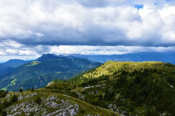 斯洛维尼亚Gorenjska和Ratitovec山脉朱利安阿尔卑斯山的景观 森林覆盖着基座 草地覆盖着山顶 — 图库照片