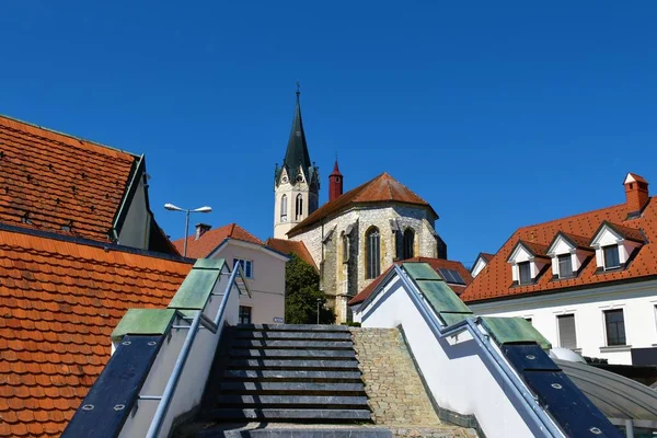 Cathédrale Novo Mesto Monument Cathédrale Saint Nicolas Dolenjska Slovénie Avec — Photo