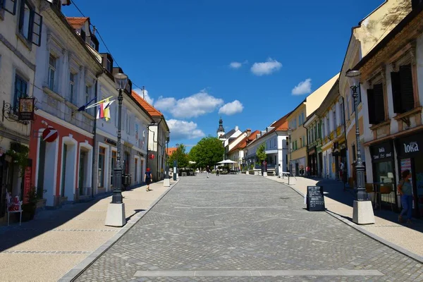 Novo Mesto Şehir Meydanı Dolenjska Slovenya — Stok fotoğraf