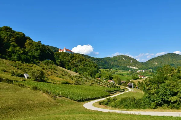 Vista Panorámica Región Vinícola Cerca Bizeljsko Stajerska Eslovenia Con Castillo —  Fotos de Stock