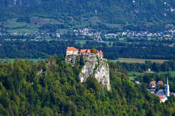 Blick Auf Die Burg Bled Slowenien Sommer — Stockfoto