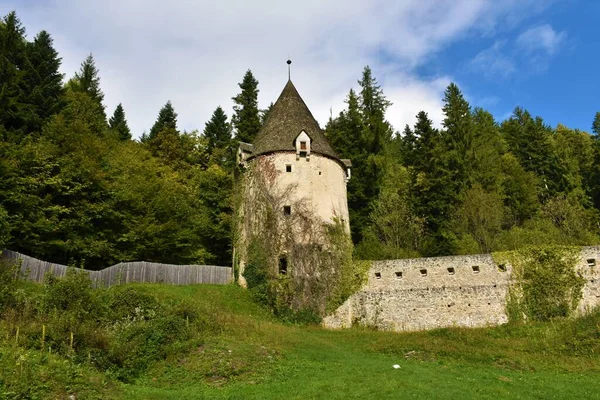 View Old Medieval Defense Tower Stone Wall Forest Zicka Kartuzija — Stock Photo, Image