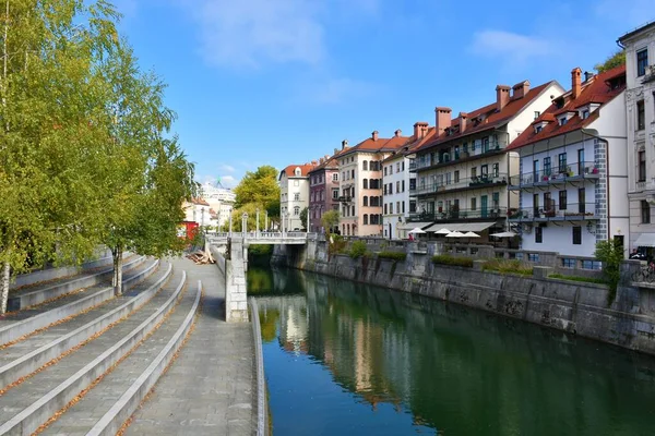Canal Fluvial Ljubljanica Traversant Ljubljana Capitale Slovénie Avec Reflet Des — Photo
