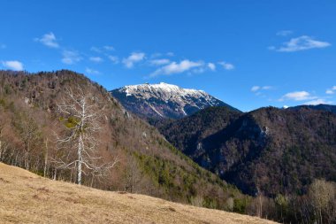 Slovenya 'nın Gorenjska kentindeki Karavanke dağlarındaki Begunjscica Dağı manzarası