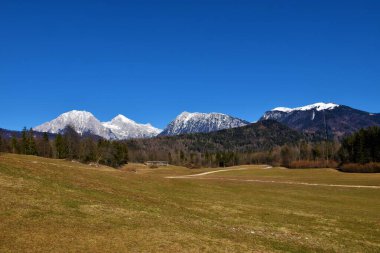 Kamnik-Savinja Alpleri 'nde Kocna ve Grintovec' in karla kaplı zirvesi ve önündeki tepeler ve tarlalar ormanla kaplı.