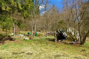 Bahar ormanında renkli arı kovanları