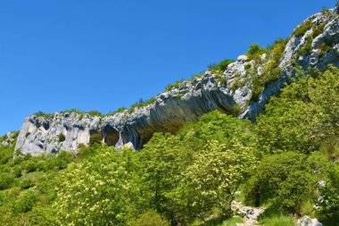Slovenya 'nın Istria kentinde Karst kenarındaki Veli Badin kaya oluşumunun görüntüsü