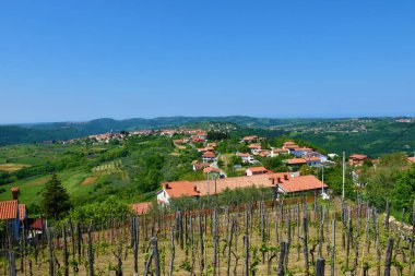 Koper belediyesine bağlı Slovenya İstria tepelerindeki Smarje köyü