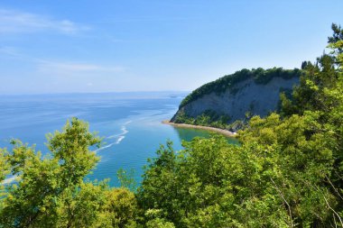 Slovenya 'nın Istria kentindeki Strunjan kentinde Adriyatik Denizi kıyısındaki Ay koyunun tipik Akdeniz bitki örtüsüyle manzarası