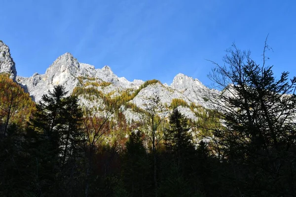 Горы Над Долиной Крма Юлианских Альпах Триглавском Национальном Парке Словения — стоковое фото