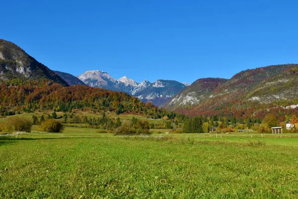 Widok Góry Tosc Ablanca Draski Vrh Alpach Julijskich Triglav Park — Zdjęcie stockowe