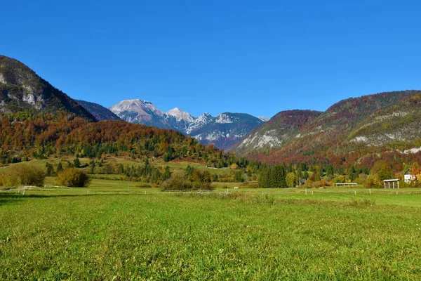 Vista Tosc Ablanca Draski Vrh Picos Montanha Julian Alps Triglav — Fotografia de Stock