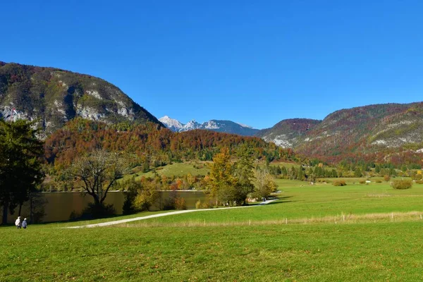 Sétaút Bohinj Partján Szlovéniában Hegyekkel Dombokkal Háta Mögött Vörös Színű — Stock Fotó