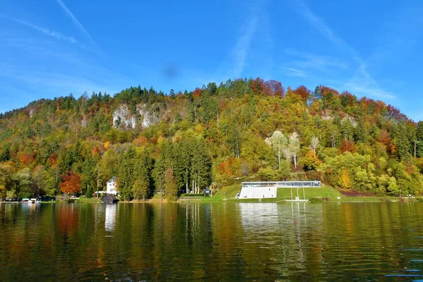 Outono Colorido Floresta Coberta Colina Acima Bled Lago Velika Zaka — Fotografia de Stock