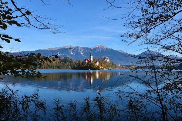 Iglesia Asunción María Lago Bled Eslovenia Con Montañas Fondo Reflejo — Foto de Stock