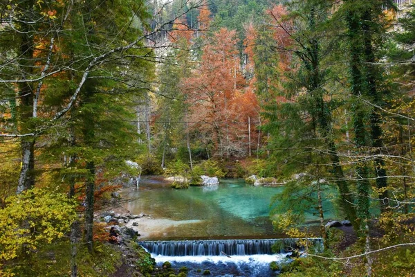 Jaro Řeky Kamniska Bistrica Slovinsku Podzim — Stock fotografie