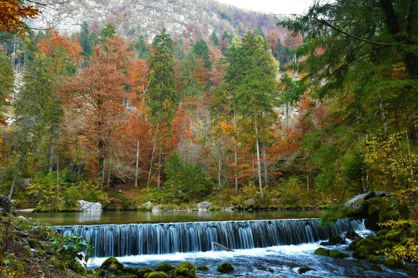 Весна Річки Камніска Бістріка Словенії Деревами Червоного Осіннього Кольору — стокове фото