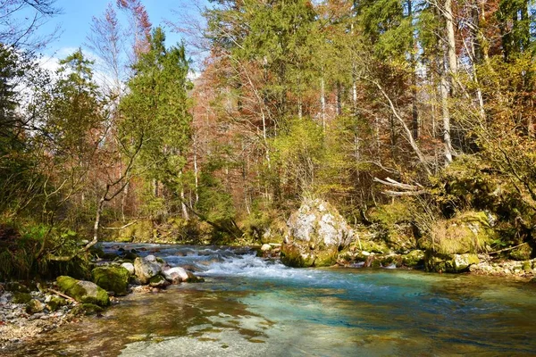 Řeka Kamniska Bistrica Slovinsku Červených Žlutých Podzimních Barvách — Stock fotografie