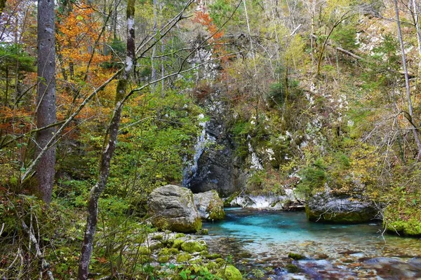 秋季在Predaselj的斯洛文尼亚Kamniska Bistrica河 — 图库照片