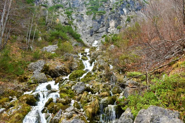 Nadiza Arroyo Montaña Tamar Los Alpes Julianos Eslovenia — Foto de Stock
