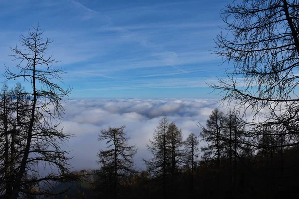 Low Level Stratus Clouds Covering Landscape Trees Front — ストック写真