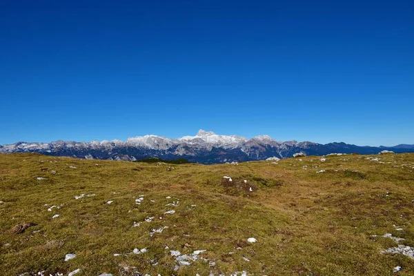 Veduta Della Montagna Del Triglav Nelle Alpi Giulie Nel Parco — Foto Stock