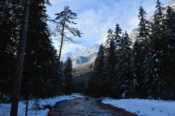 Blick Auf Den Fluss Triglavska Bistrica Und Den Schneebedeckten Berg — Stockfoto