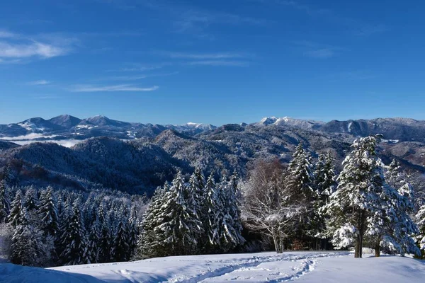 Vista Las Colinas Cubiertas Bosques Eslovenia Pre Alpina Invierno —  Fotos de Stock
