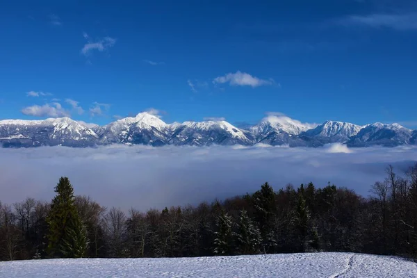 在斯洛文尼亚Gorenjska的Kamnik Savinja阿尔卑斯山与Storzic山 Kocna山和Grintovec山的景观 — 图库照片