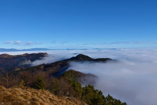 Niebla Cubierta Cuenca Liubliana Con Colinas Cubiertas Bosques Que Elevan —  Fotos de Stock