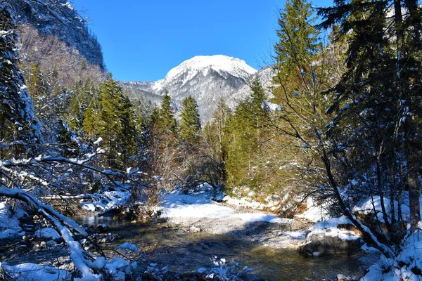 겨울에는 슬로베니아 계곡에서 계곡에서 수있는 트리글라브 공원의 — 스톡 사진