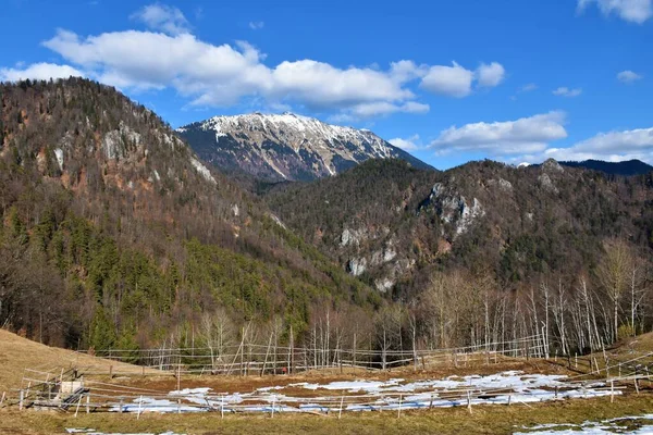 Vista Montaña Begunjscica Cordillera Karavanke Gorenjska Eslovenia —  Fotos de Stock