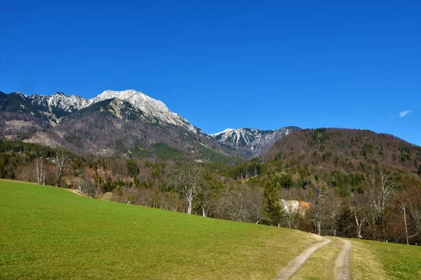 Άποψη Του Βουνού Storzic Kamnik Savinja Άλπεις Σλοβενία — Φωτογραφία Αρχείου