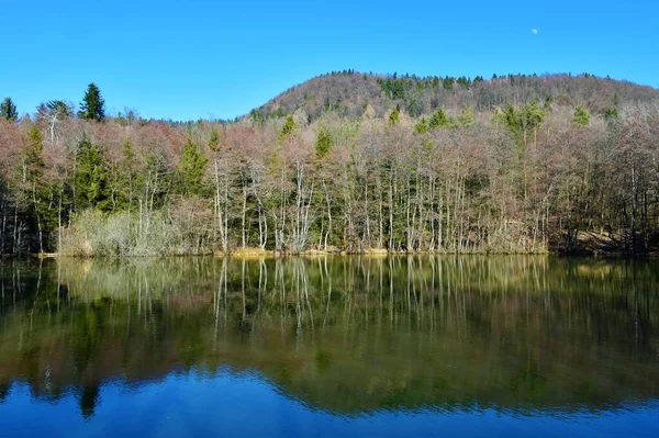Lago Cesnjevek Cerca Cerklje Gorenjskem Eslovenia Una Colina Cubierta Bosque — Foto de Stock