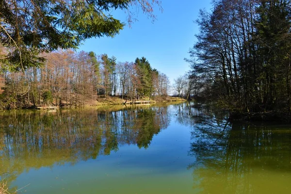 슬로베니아의 레이나 근처에 체스네 호수는 강둑에 나무들이 호수에 반사되어 — 스톡 사진
