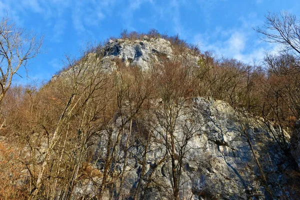 Rock Cliff Bellow Osojnica Berg Och Ovanför Bohinjska Bela Slovenien — Stockfoto