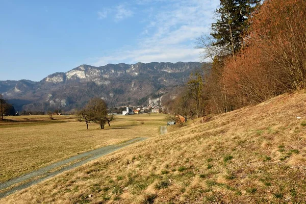 Widok Wioskę Bohinjska Bela Pobliżu Bled Gorenjskiej Słowenia Zbocza Płaskowyżu — Zdjęcie stockowe